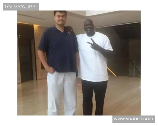 姚明最新战绩回顾与分析揭示其职业生涯辉煌成就与影响力