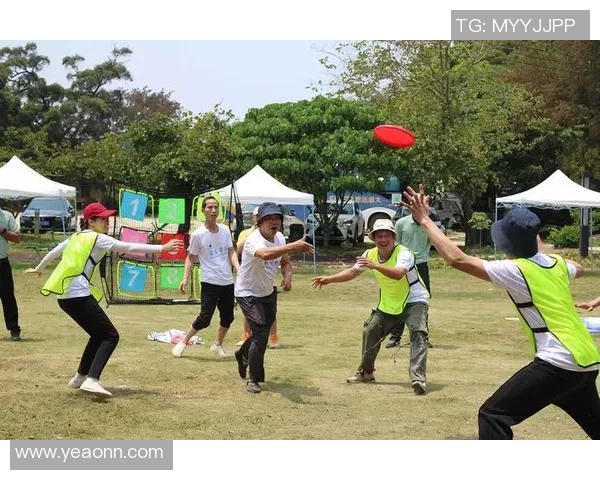 飞盘战术解析：上海飞盘队边路渗透体系的创新与应用探讨